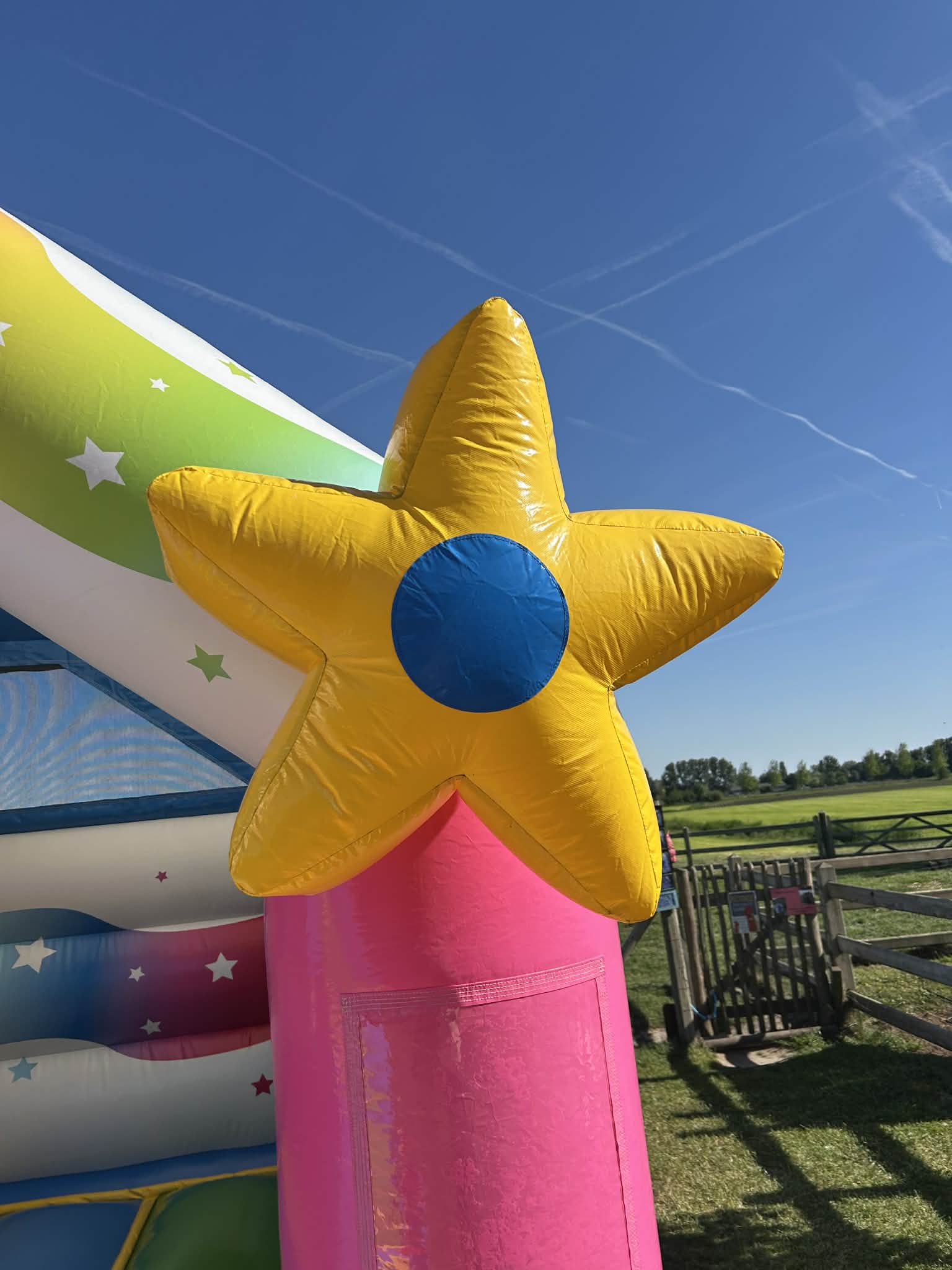 Unicorn overdekt - Afbeelding 10